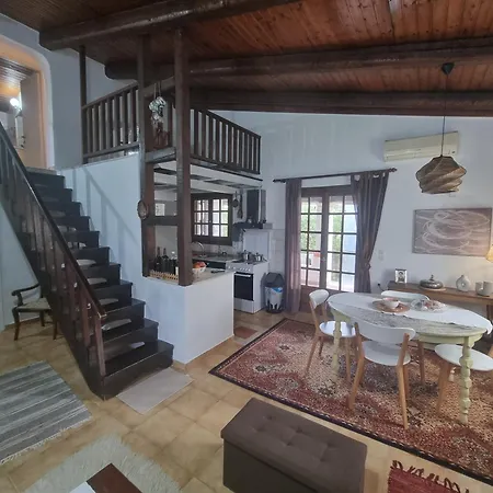 Villa Ektor *