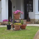 Ektor