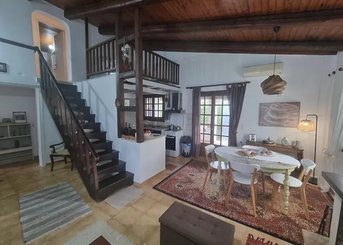 Vila Ektor *