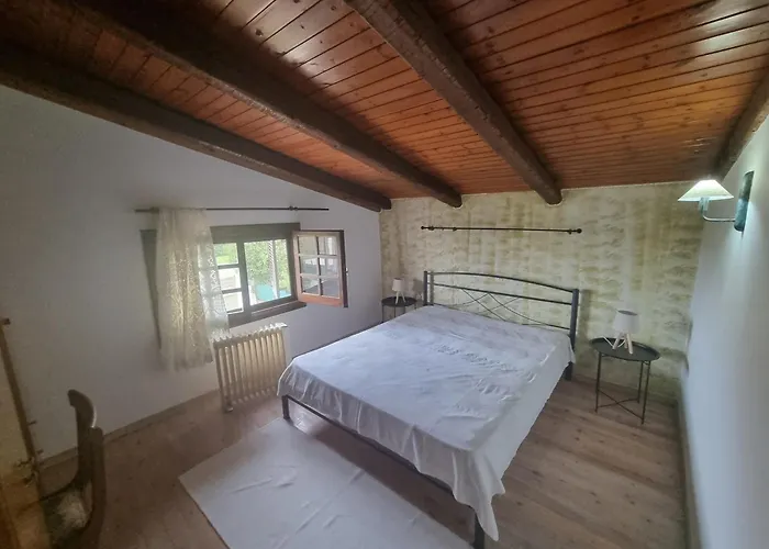 Ektor Vila *